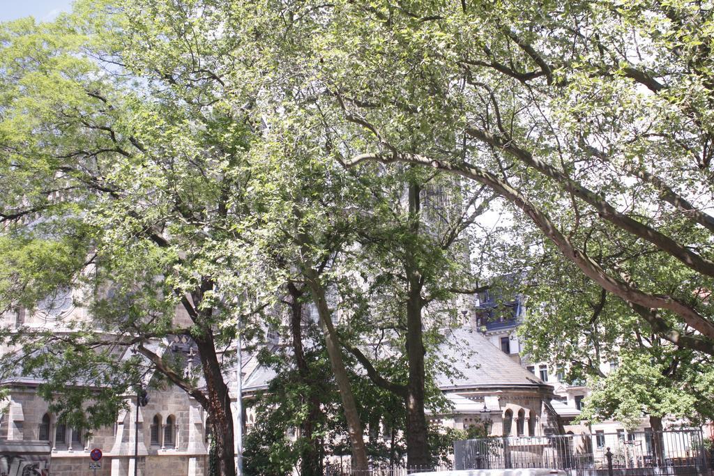 Apartment Silentio Schletterstrasse
